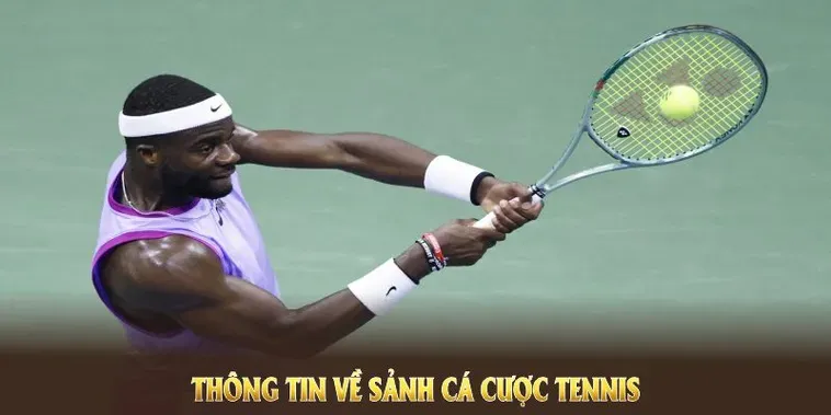 Tìm Hiểu Quần Vợt 288K: Giải Đấu Grand Slam Làm Sôi Động Cộng Đồng Fan